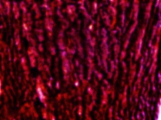 THE BEAUTY OF ABSTRACT ARTISTIC SURFACE TEXTURE	