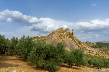 A quiet road winds along olive trees in the Granada province of Spain, offering a scenic view of...
