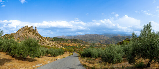 A quiet road winds along olive trees in the Granada province of Spain, offering a scenic view of...