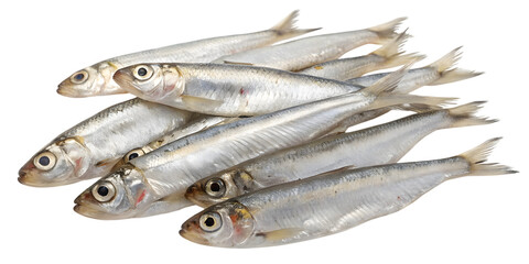 Obraz premium A pile of fresh small silver fish with detailed scales and eyes isolated on white background