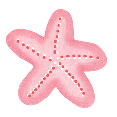 starfish isolated on white background