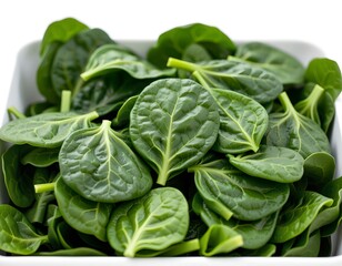 Obraz premium Fresh Green Spinach Leaves in White Bowl Healthy Food Closeup View
