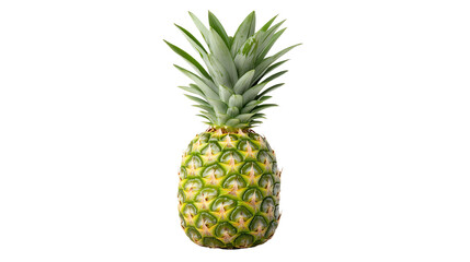 Fresh pineapple with green leaves on a white background.