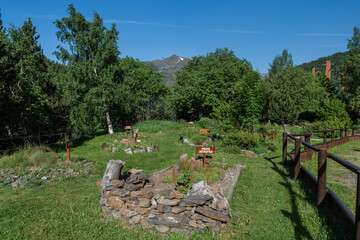 Botanical Garden With Flora Classified