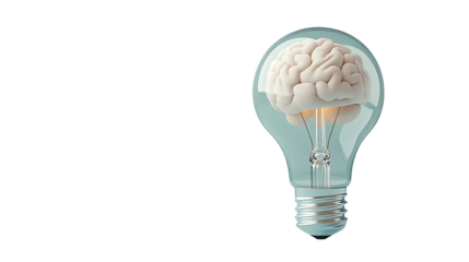 Light bulb with a brain inside, symbolizing innovative ideas and creativity.