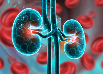 Human kidneys anatomy structure, kidney disease. 3d illustration