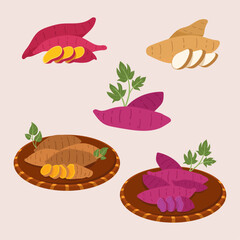 Flat sweet potato collection illustration