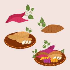 Flat sweet potato collection illustration