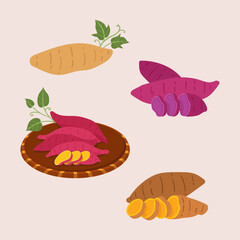 Flat sweet potato collection illustration