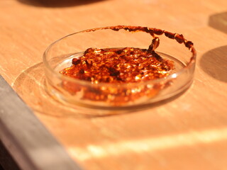 Experiments in a chemical laboratory