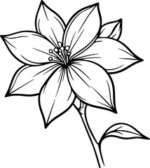 jasmine vector flower illustration transparent pattern 