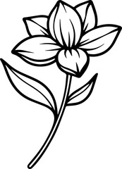 jasmine vector flower illustration transparent pattern 