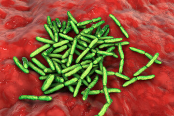 Escherichia albertii bacteria, 3D illustration. An emerging gastrointestinal pathogen linked to foodborne outbreaks and has been isolated from both humans and birds