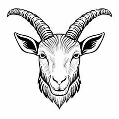 Goat Face Vector. Angry goat head vector illustration on white background.