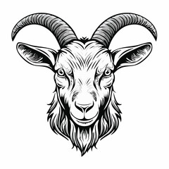 Goat Face Vector. Angry goat head vector illustration on white background.