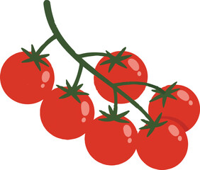 Vibrant Bunch of Cherry Tomatoes Freshly Picked from the Garden Ready to be Used in Cooking and Salads