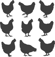 Silhouette Farmyard Fowl A Collection of Chicken Silhouettes Depicting Various Poses and Angles for Graphic Design and Illustration Projects