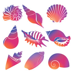 Vector fresh modern gradient sea shells and pearl seashell silhouettes isolated on white background