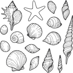 Elegant Monochrome Sea Shell and Starfish Illustration Featuring Varied Shell Shapes and Sizes in a Clean, Artistic Style
