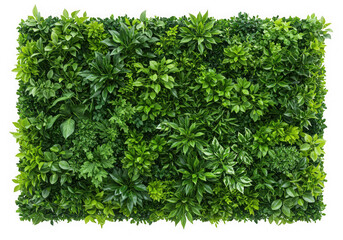 Obraz premium Lush green artificial plant wall panel