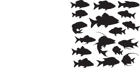 An Array of Black Fish Silhouettes on a White Background Showcasing Diverse Aquatic Life Forms and Simple Graphic Design