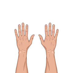 vector of a pair of human hands on a white background