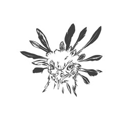 secretary bird head without background