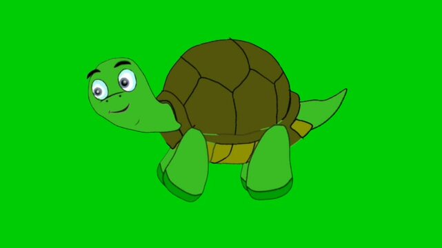 2D tortoise standing motion Flies . Animal Green Screen motion Footage. Looped video graphic.