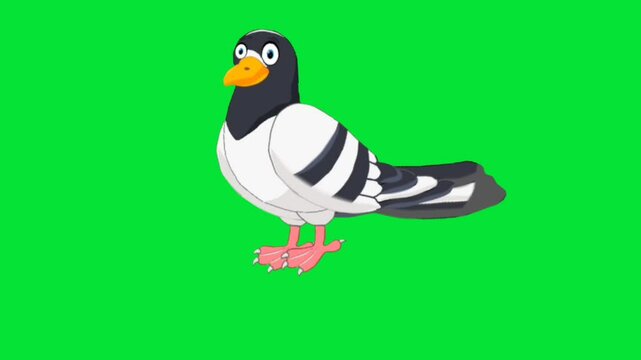 A bird on green background dove standing flies with background movement.
