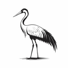 Crane Bird Vector Images. Majestic Crane Stork Images isolated on white background