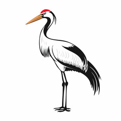 Crane Bird Vector Images. Majestic Crane Stork Images isolated on white background
