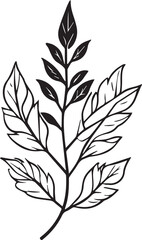 Leafy Elegance: A botanical illustration of a single, graceful leaf, showcasing intricate details and delicate veins, representing the beauty and simplicity of nature.