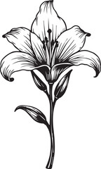 Lily's Botanical Elegance: The artwork depicts the delicate and intricate beauty of a lily flower, with each petal and stem meticulously rendered in a detailed illustration.