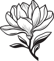 Magnolia Blossom Line Art: Elegant line art drawing of a magnolia blossom, showcasing its delicate petals and leaves. Perfect for invitations, greeting cards.