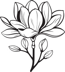 Magnolia Blossom Illustration: A monochrome illustration of a blooming magnolia flower, with delicate petals and buds, rendered in a clean, elegant style.