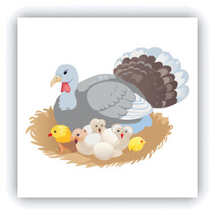 A mature, gray and white turkey hen is centered in a nest of straw. She is brooding over three eggs, with two small, light yellow chicks visible near the eggs. The turkey is positioned in a slightly c