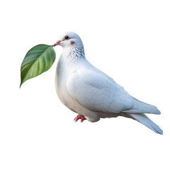 Hiroshima Day isolated on transparent background, Generative ai.