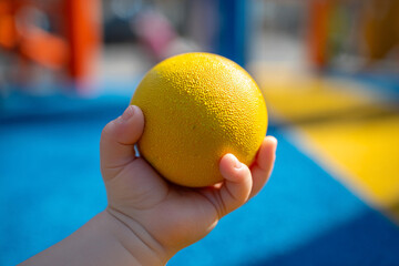 Child holding a bright yellow ball in a colorful playground during a sunny day
