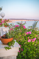 Bougainvillea and potted plant on coastal balcony with sea view in Greece