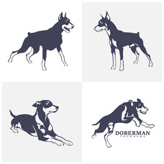 Set of Doberman Dog logo design vector. Template Illustration. Icon Symbol