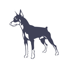 Doberman Dog logo design vector. Template Illustration. Icon Symbol