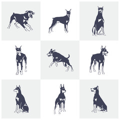 Set of Doberman Dog logo design vector. Template Illustration. Icon Symbol