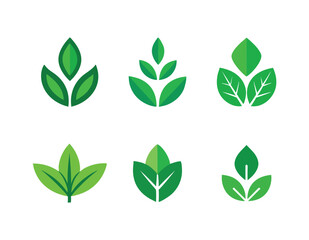 Set of leaf icons set on isolated white background, nature, green 
