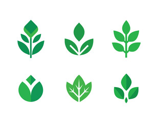 Set of leaf icons set on isolated white background
