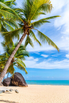 The beach scenery by the Tianya Haijiao in Sanya, Hainan, China