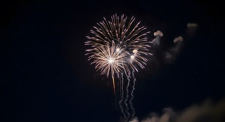 Stunning Fireworks Display at Night Dark Sky