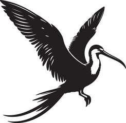 A silhouette frigate bird vector