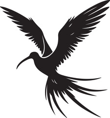 Fototapeta premium A silhouette frigate bird vector