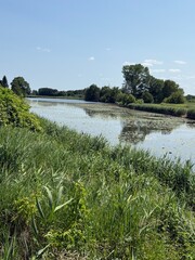tropical beach in thailand