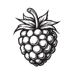 Detailed hand-drawn stylized illustration of a raspberry